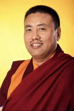 Tulku Theglo Rinpoche