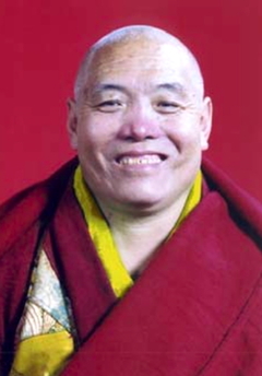 Tulku Theglo Rinpoche